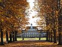 2009-11-05, leuchtender November (9)